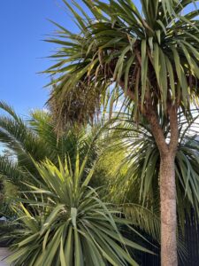 427741091_404423478765007_3067767650273100878_n