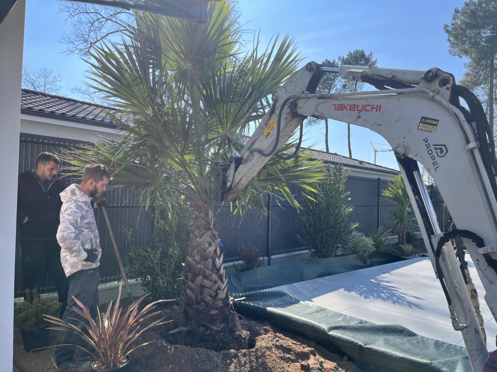 photo page creation 2